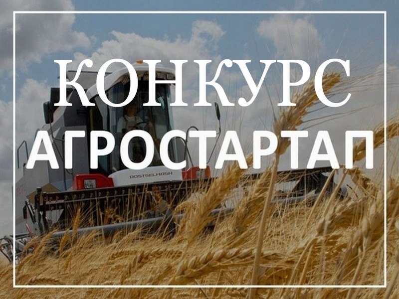 Конкурсный отбор.