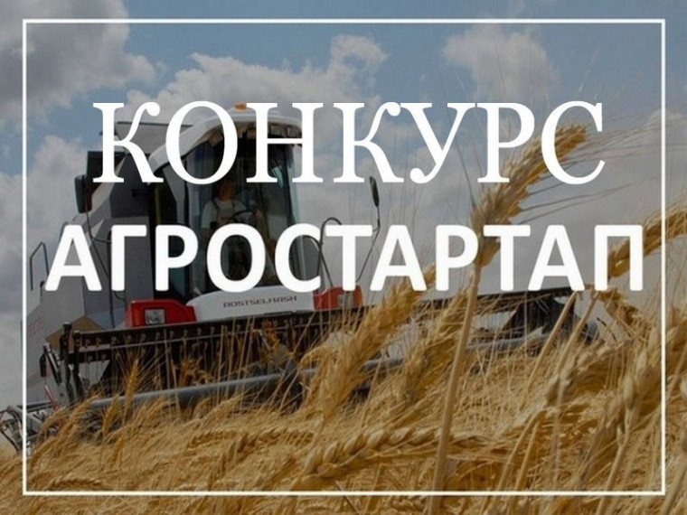 Конкурсный отбор. Конкурсный отбор.